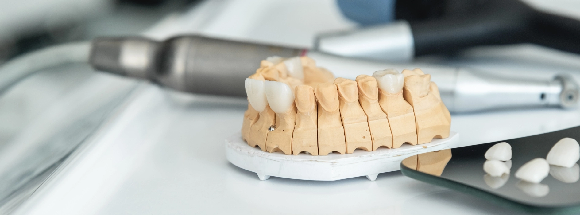 modele zębów